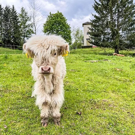 Habsmoosbach By Interhome Апартаменты Шлухзее